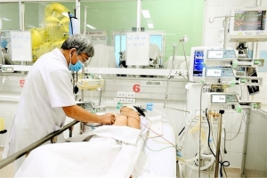 Số ca mắc sốt xuất huyết, tay chân miệng tại TP. HCM giảm