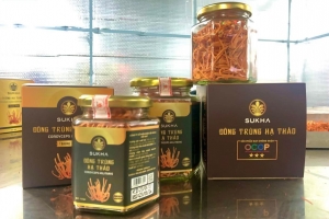 Thanh Hoá tổng thu ngân sách Nhà nước ước đạt 48.820 tỷ đồng năm 2022