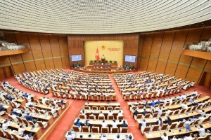 Quốc hội thông qua dự án Luật Thanh tra sửa đổi với 118 điều