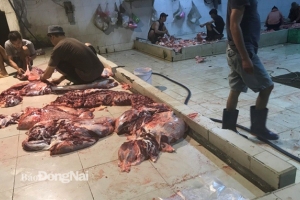 Phát hiện 02 cơ sở giết mổ trái phép tại huyện Trảng Bom
