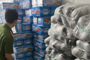 Phát hiện gần 12 tấn rau củ không rõ nguồn gốc