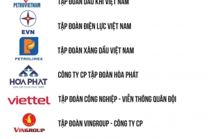 EVN - Top 10 doanh nghiệp lớn nhất Việt Nam