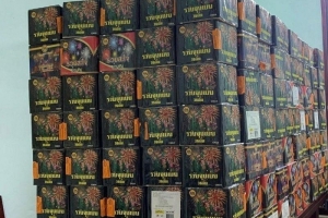 Thu giữ hơn 2,5 tạ pháo nhập lậu tại Nghệ An