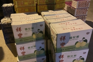 Phát hiện lái xe vận chuyển gần 600kg hoa quả không rõ nguồn gốc đi tiêu thụ tại Quảng Ninh