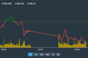 Thị trường chứng khoán “đỏ vỏ, xanh lòng”, VN-Index giảm 8,68 điểm