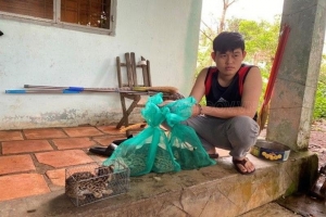 Tạm giữ nam thanh niên bán động vật rừng nguy cấp, quý, hiếm trên mạng kiếm lời