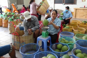 8 nông sản Việt giá trị tỷ USD xuất khẩu nhiều nhất sang Mỹ
