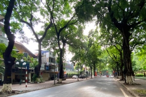 Dự báo thời tiết hôm nay, ngày 29/11: Hà Nội trời rét; Miền Trung, Tây Nguyên mưa vừa đến mưa lớn