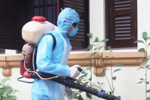 Bắc Ninh giám sát chặt chẽ và triển khai xử lý triệt để ổ dịch sốt xuất huyết tại các địa phương