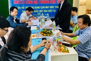 Bình Định hỗ trợ Hợp tác xã ứng dụng thiết bị sản xuất bột rau diếp cá