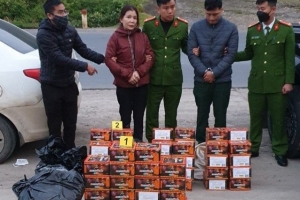 Quảng Trị: Bắt 2 đối tượng vận chuyển hơn 1 tạ pháo lậu