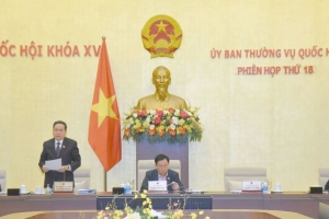 Quy định cụ thể hơn về Hội đồng Y khoa quốc gia