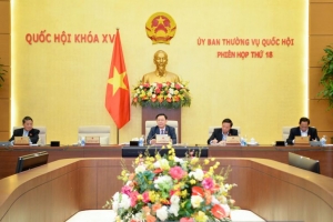 Ủy ban Thường vụ Quốc hội xem xét, phê chuẩn việc bổ nhiệm và miễn nhiệm Đại sứ đặc mệnh toàn quyền