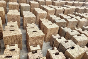 Thanh Hóa đề xuất Trung ương công nhận thêm 3 sản phẩm OCOP 5 sao Quốc gia