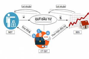Điểm tên những quỹ đầu tư lỗ sâu năm 2022, rục rịch tái cơ cấu trong năm 2023