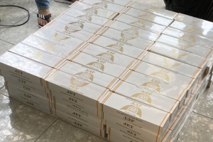 Bắt giữ đối tượng đang vận chuyển số lượng lớn hàng cấm