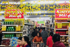 Các giải pháp thúc đẩy phát triển mạnh mẽ thị trường trong nước