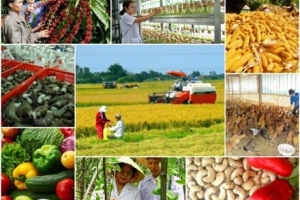 Năm 2023, ngành nông nghiệp đặt mục tiêu xuất khẩu 54 tỷ USD