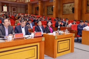 Vĩnh Phúc triển khai thí điểm mô hình Làng văn hóa kiểu mẫu ở 9 huyện, thành phố
