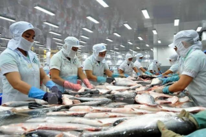 Cá tra Việt Nam đã chinh phục hơn 140 thị trường