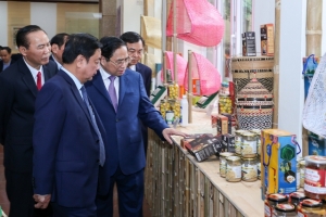Thủ tướng Chính phủ yêu cầu ngành nông nghiệp xây dựng thương hiệu, quy hoạch phát triển vùng nguyên liệu