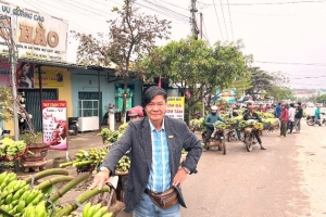 Trở lại "Thủ phủ" chuối lớn nhất miền Trung những ngày cận Tết Quý Mão 2023