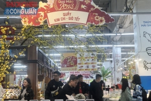 Nhiều doanh nghiệp đảm bảo hàng hóa tiêu dùng giá bình ổn cho Tết Nguyên đán Quý Mão