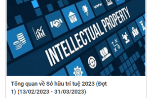 Đào tạo trực tuyến Tổng quan về Sở hữu trí tuệ năm 2023