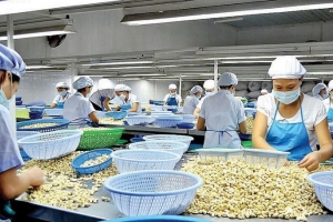 Những điều doanh nghiệp cần lưu ý khi xuất khẩu sang UAE