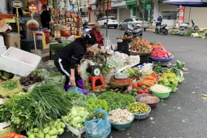 Giá cả các mặt hàng thiết yếu dần trở lại bình thường
