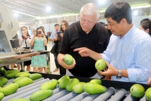 EU sửa đổi quy định về ngưỡng dư lượng thuốc bảo vệ thực vật trên rau, hoa quả như thế nào?