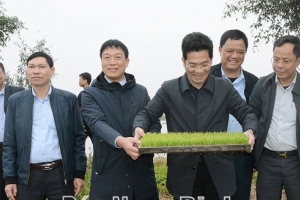 Nam Định đôn đốc thực hiện nhiệm vụ trọng tâm sau kỳ nghỉ Tết