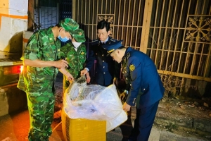 Phát hiện số lượng lớn nội tạng lợn bốc mùi hôi thối