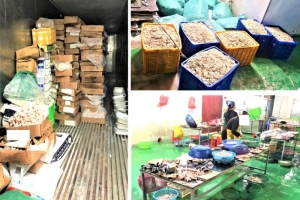 Bắc Giang tạm giữ hơn chín tấn thực phẩm không rõ nguồn gốc