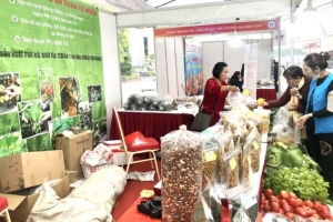 Hà Nội tổ chức hội chợ thương mại tại 58 địa điểm cố định