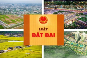 Dự thảo Luật Đất đai (sửa đổi): Tiến độ triển khai lấy ý kiến Nhân dân ở nhiều bộ, ngành, địa phương còn rất chậm
