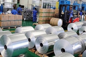Gia hạn thời hạn điều tra rà soát nhà xuất khẩu mới áp dụng chống bán phá giá một số sản phẩm plastic