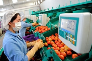 Chuyên gia dự báo kịch bản kinh tế năm 2023, ngành nông nghiệp đáng chú ý