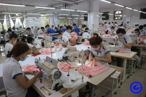 Tiền Giang theo dõi, nắm thông tin nhu cầu việc làm của doanh nghiệp để giới thiệu người lao động