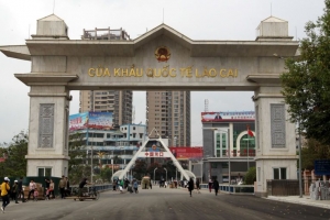 Nông sản xuất khẩu làm thủ tục tại Hải quan Cửa khẩu quốc tế Lào Cai khá đa dạng