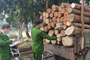 Kon Tum phát hiện, xử lý 09 vụ buôn lậu, gian lận thương mại và trốn thuế