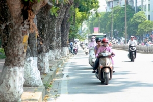 Thời tiết ngày 22/02: Miền Bắc ngày nắng ấm, sáng sớm có sương mù
