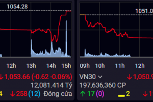VN-Index giảm nhẹ 0,62 điểm, dòng tiền bắt đấy hoạt động tích cực