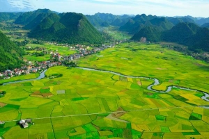Chính sách, pháp luật về đất đai phù hợp tạo môi trường ổn định, minh bạch, tạo nguồn lực phát triển