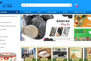 Sàn Thương mại điện tử Hà Tĩnh giới thiệu, bày bán hơn 500 sản phẩm