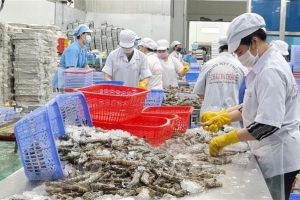 Giải pháp tăng cường hội nhập kinh tế quốc tế, mở rộng thị trường xuất khẩu
