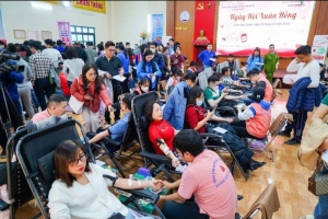 Hải Phòng tiếp nhận hơn 300 đơn vị máu trong chương trình “Ngày hội Xuân Hồng năm 2023”