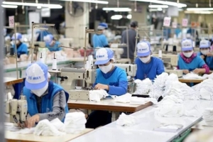 Bạc Liêu nắm bắt tình hình cung - cầu lao động để giải quyết việc làm cho người lao động