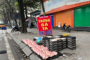 Cảnh giác với trứng gia cầm "giải cứu"