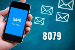 Bảo hiểm xã hội Việt Nam thông báo dừng triển khai tin nhắn tra cứu đến đầu số 8079